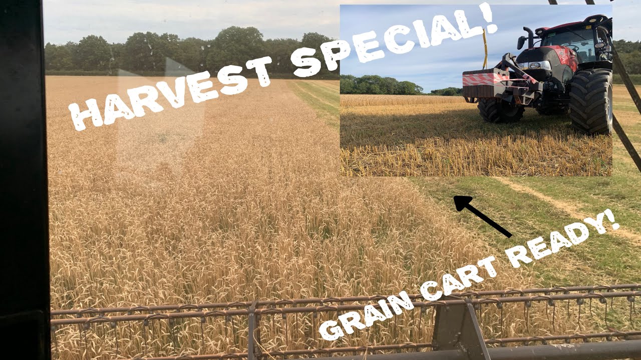 Farm update 7:Harvest Special!!!