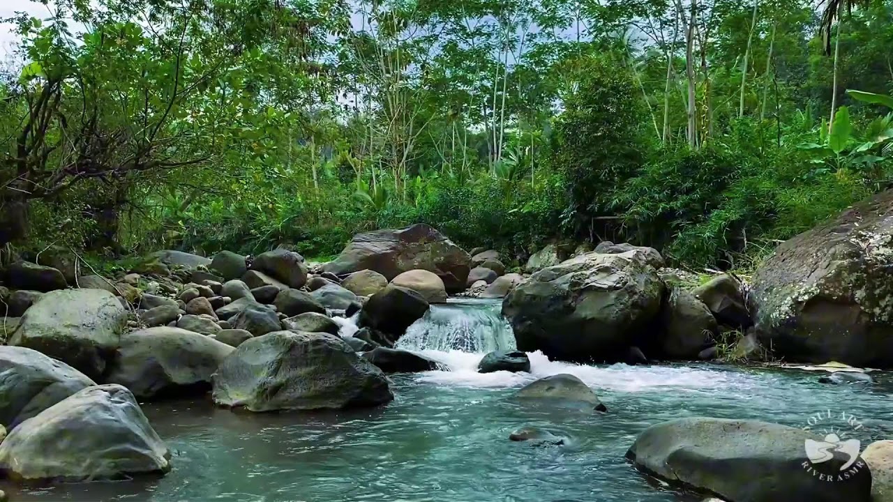 River Sounds & waterfall Sounds for Sleeping | Nature Stream for Relaxing & Stress Relief. #river 1