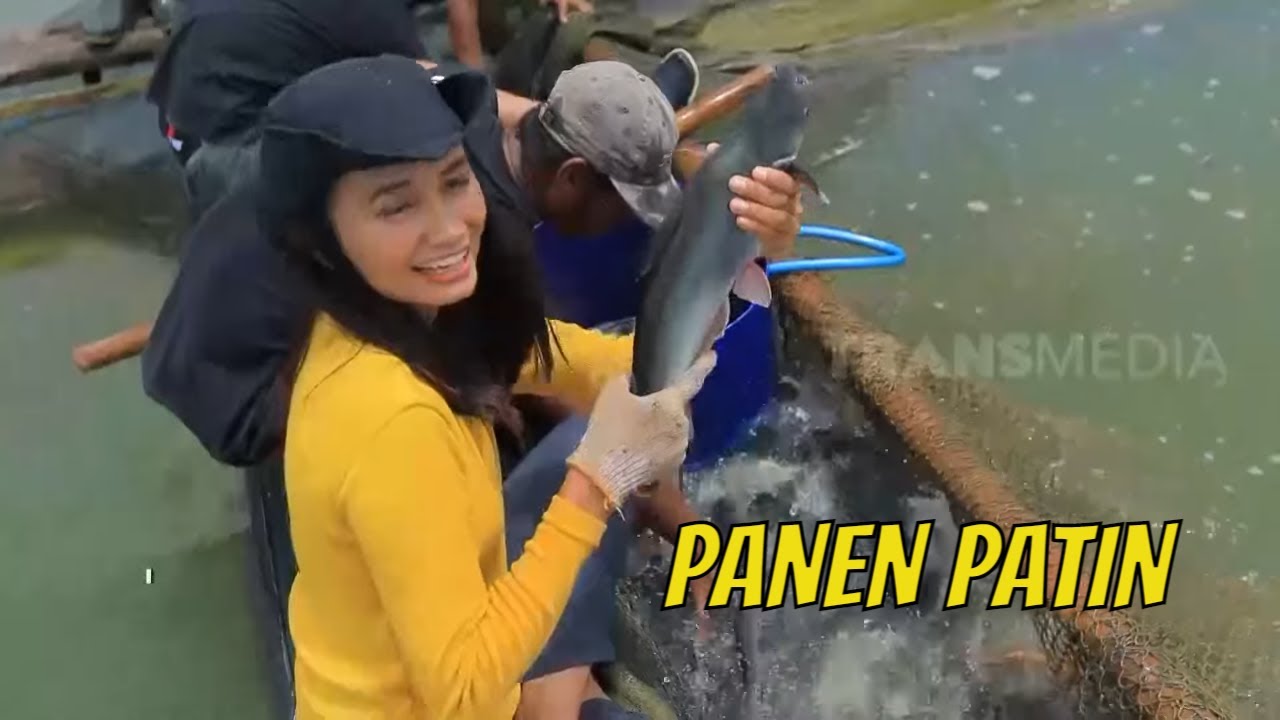Panen Raya Ikan Patin di Waduk Gajah Mungkur | JEJAK PETUALANG (15/12/21)
