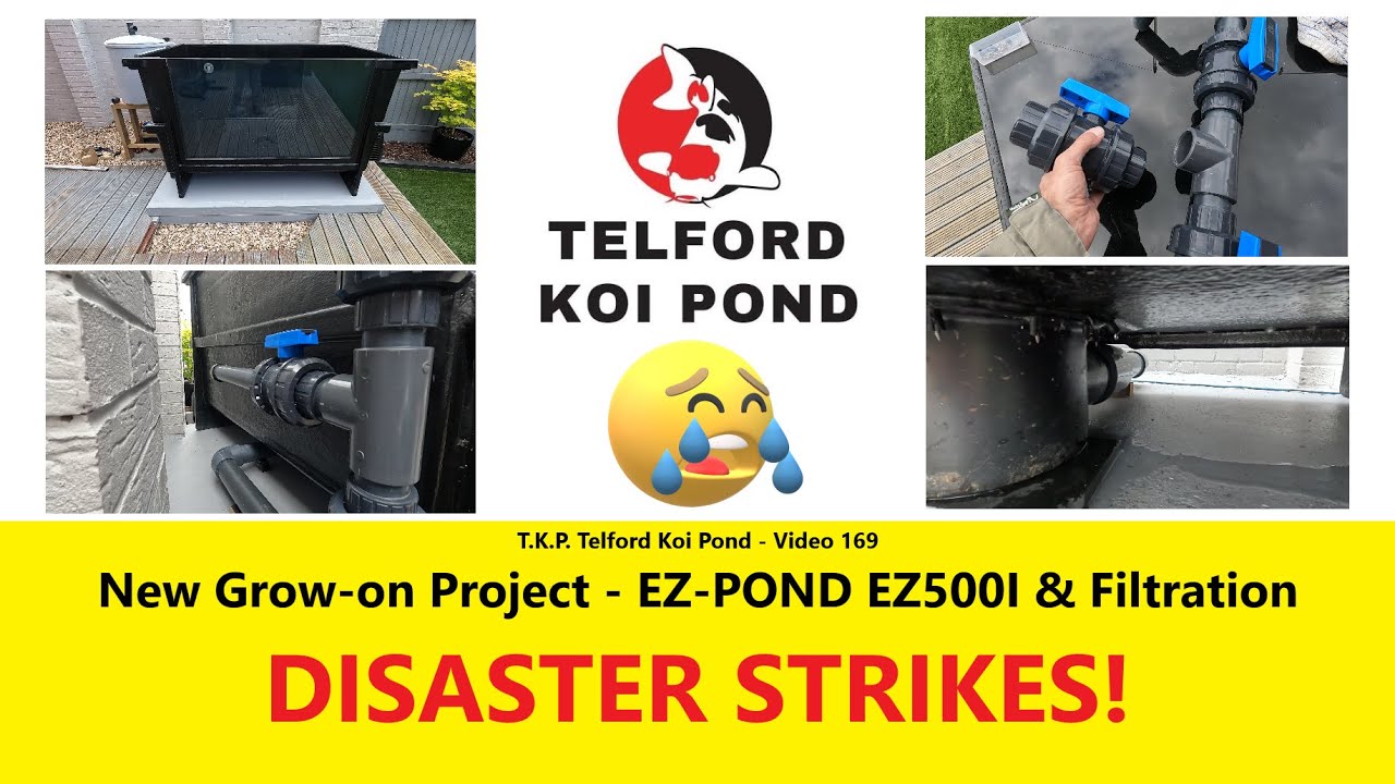 T.K.P.  Telford Koi Pond - Video 169 - New EZ POND EZ500I & Filtration - DISASTER Strikes!  #koi
