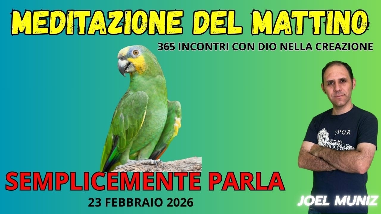 SEMPLICEMENTE PARLA - 23 FEBBRAIO - MEDITAZIONE DEL MATTINO