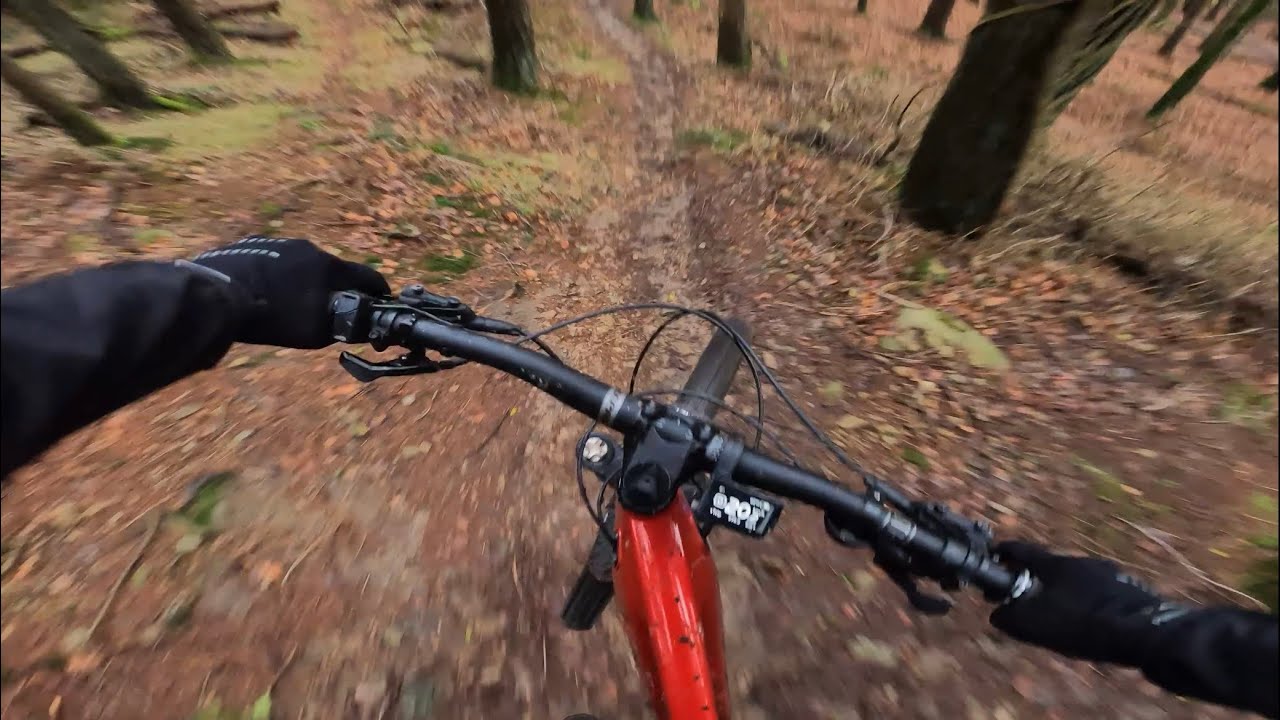 Fallen tree - Tollymore - GoPro footage