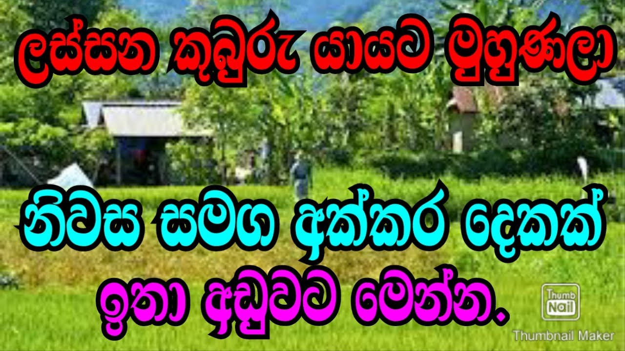 කුබුරු යයක් සමග අක්කර දෙකක ඉඩම සහ නිවාස ඉතා අඩුවට මෙන්න .podi malli/polonnaruwe aduwata idam/idam