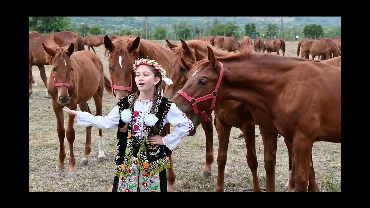 Natalia Bǎnicǎ - Curge lacrima din nor (cover) | Atelierul de Muzică