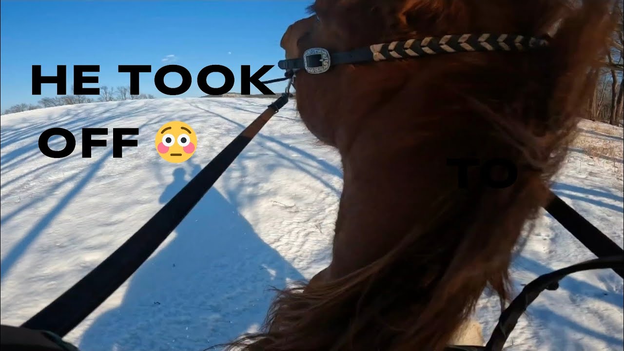 О БОЖЕ МОЙ 😳