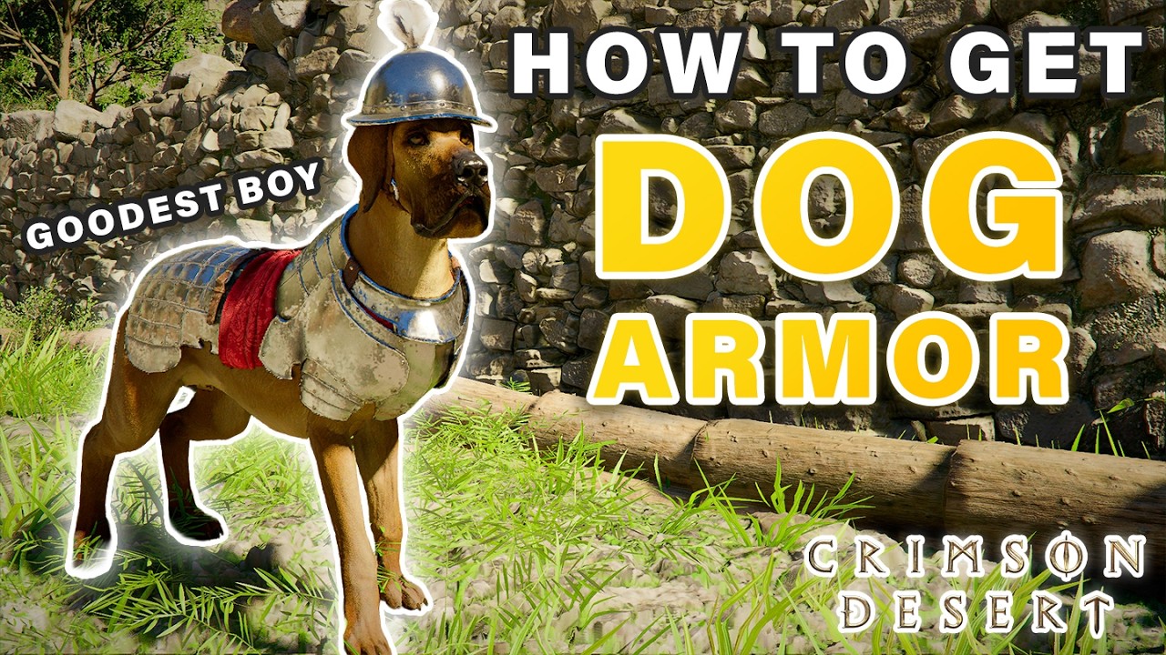 How to Get & Equip Pet Dog Armor ► Crimson Desert