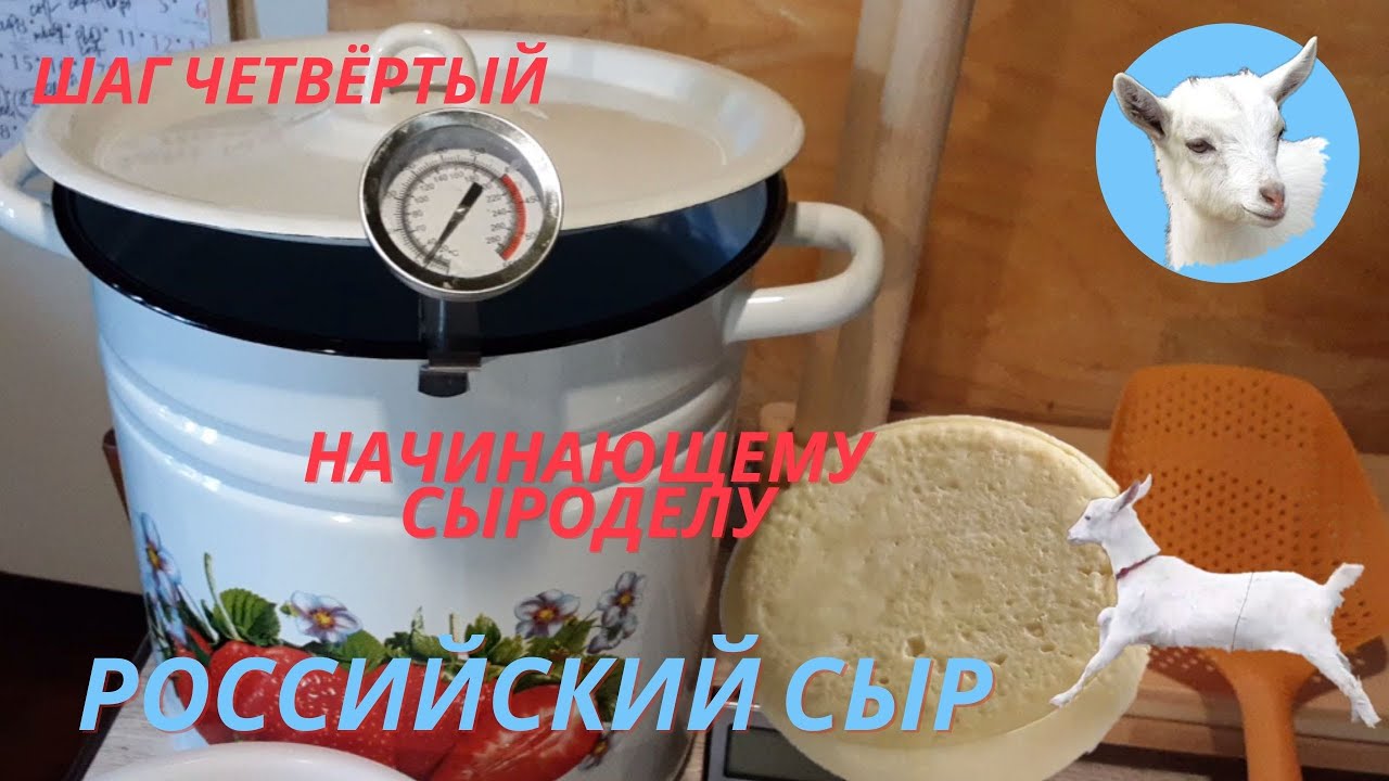 Домашний сыр из молока Российский сыр