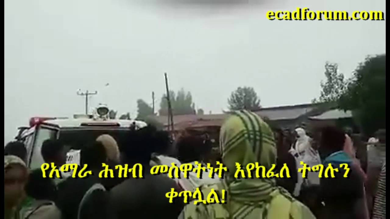 In northern Ethiopia, the Amhara resistance is getting momentum