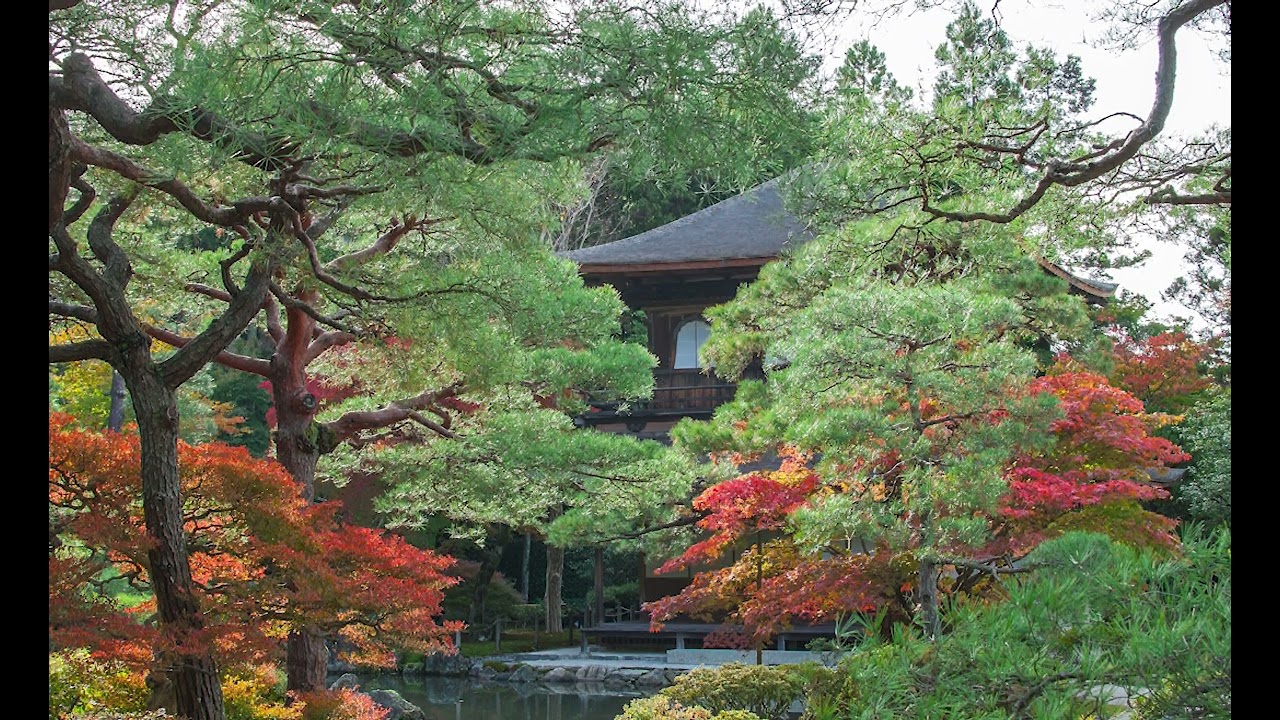 Serene Japan 3 hour | Calm | Focus | Sleep | Ambience | Concentration | Meditation | Music Sound