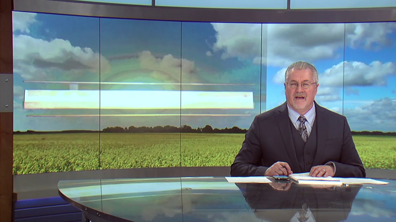 RFD TV Market Day Report 12/19