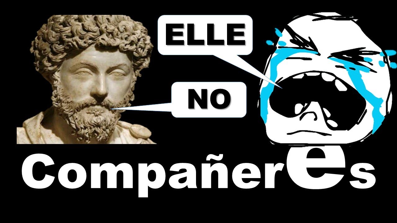 Compa&ntilde;eres, dignidad personal y la necesidad del estoicismo en los j&oacute;venes