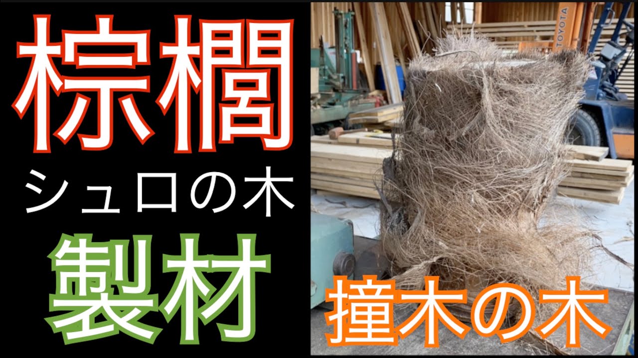 棕櫚（シュロ）の製材