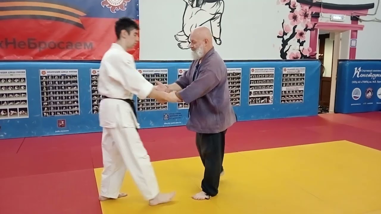 24 формы тайцзицюань. Применение. все очень просто.