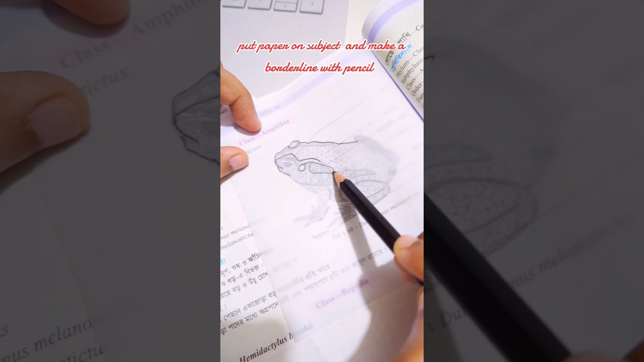 Tracing Hacks for practical drawing Notes 😉 #drawingforkids #copy #butterpaper #drawinghacks #hacks