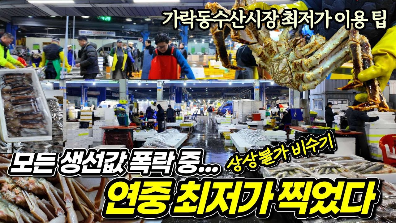 [최저가 구매 타이밍] 활어 선어 줄폭락? 공포의 수산시장 충격? 천원 이하 생선 지천으로 깔렸다! 모든 생선값 상상불가 폭락 4월 초까지 계속된다