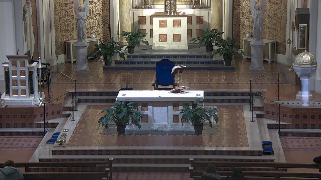 11 AM Mass — Sunday, February 1, 2026