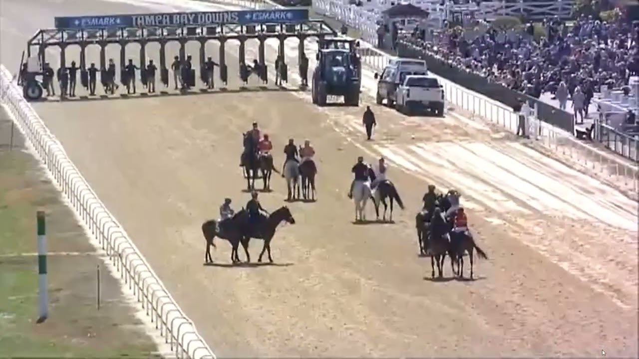 RACE 1 - Tampa Bay  Downs - USA -21 JANUARY 2026