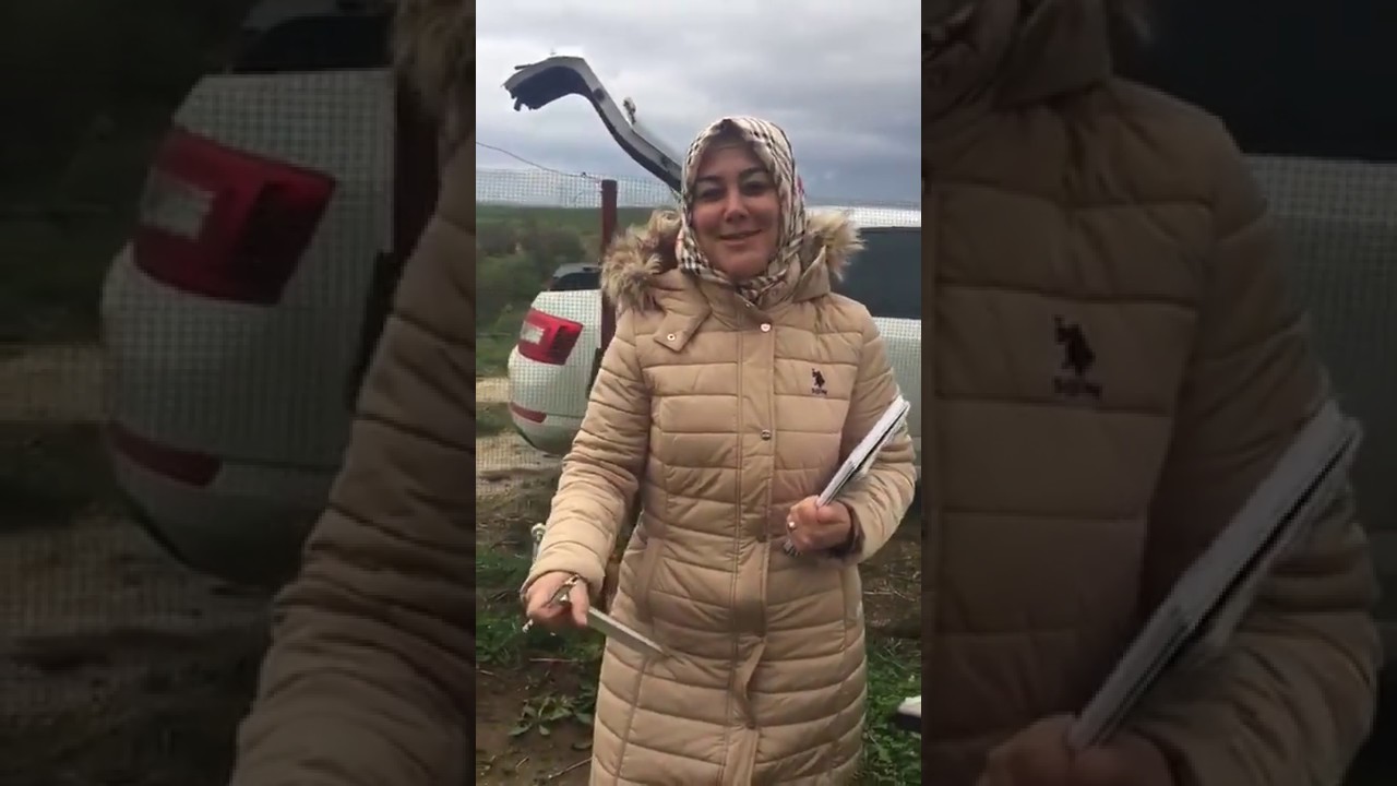 Solucan G&uuml;bresi ve Reygras Otumuzun Uyumu #Reygras