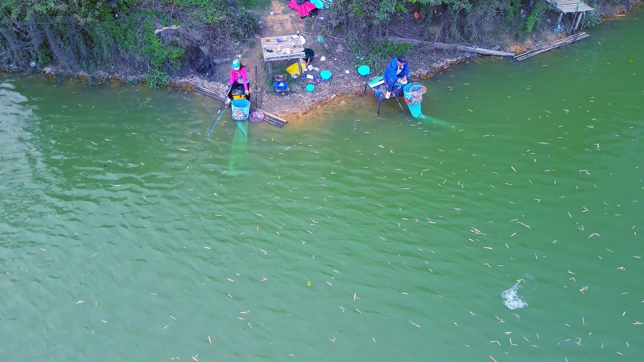 CÂU CÁ RÔ HỒ LỤC