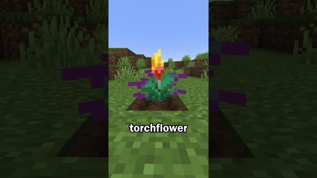 New Torchflower Flower in Minecraft