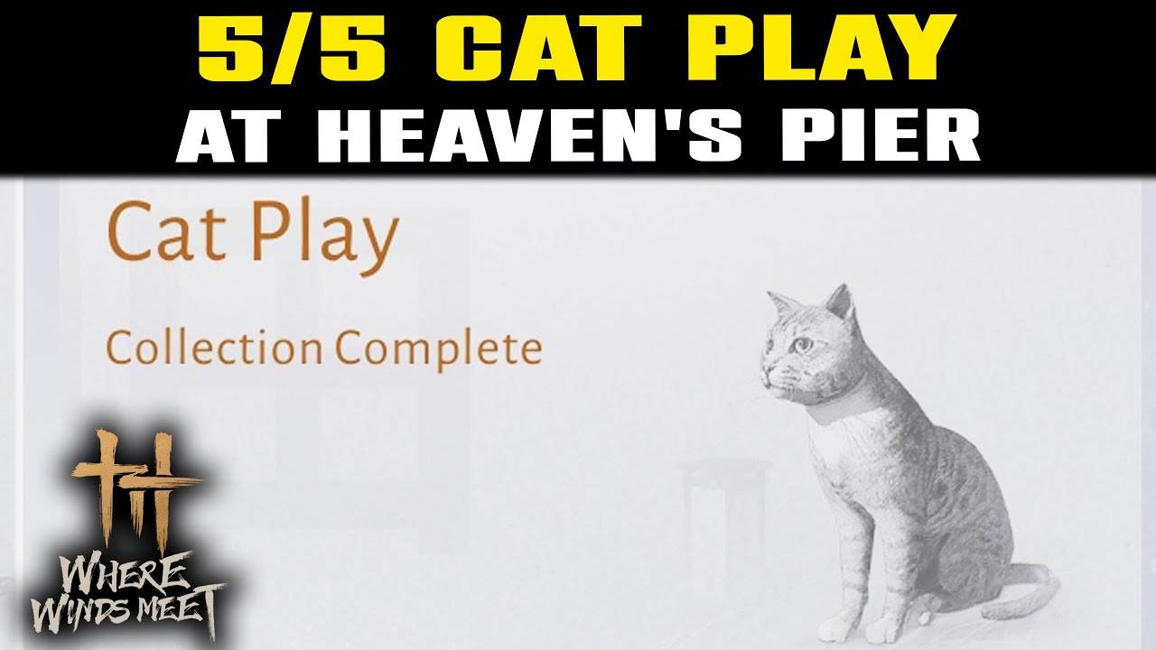 ВСЕ места для игр с кошками: Небесный пирс | Где встречаются ветры | 5/5 Место для игр с кошками