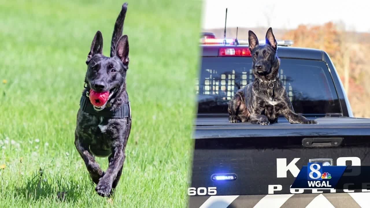 K9 retirement ceremony