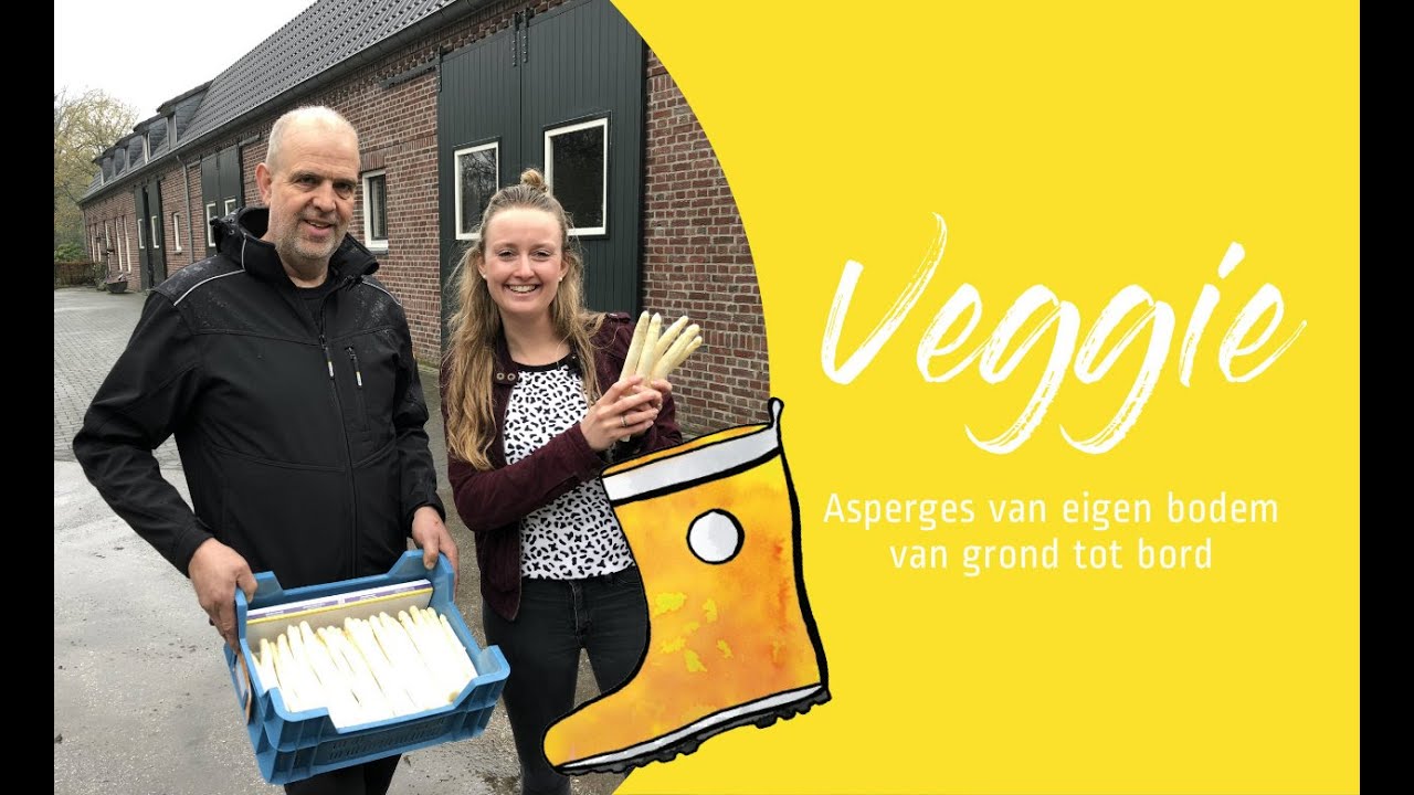 Witte ASPERGES van grond tot bord