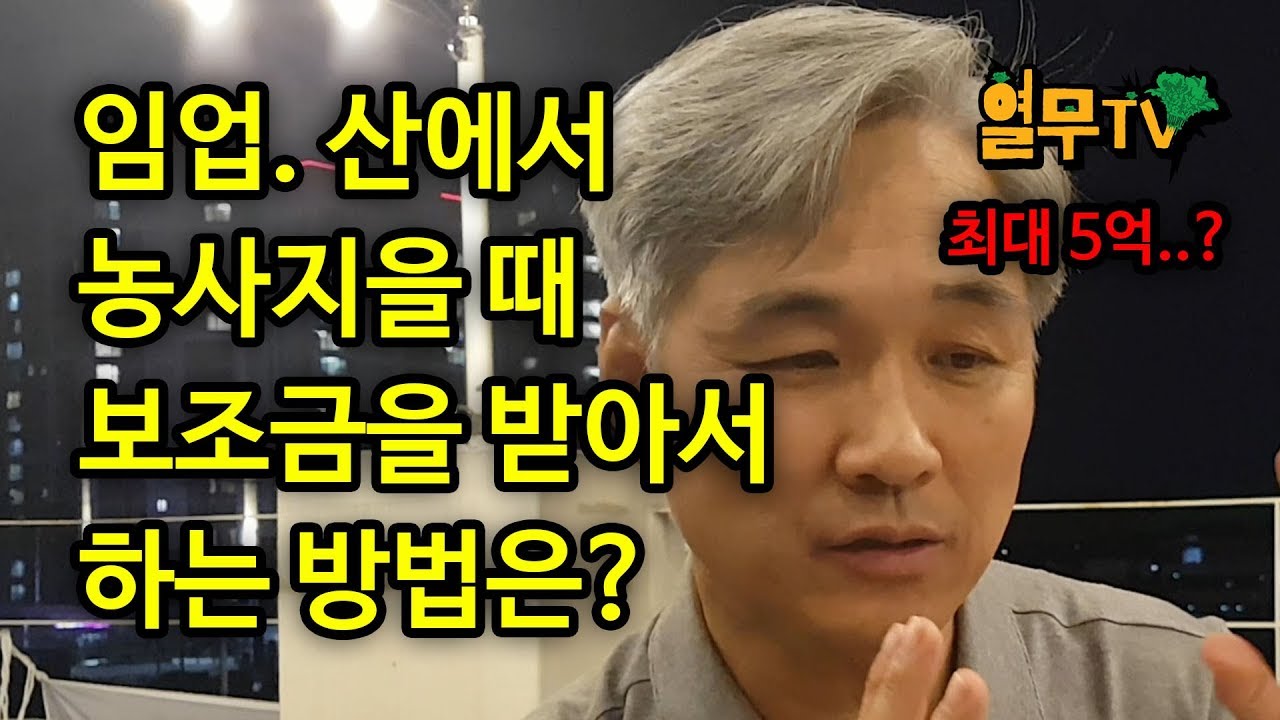 임업, 산에서 농사 지을 때 보조금 받는 방법과 팁