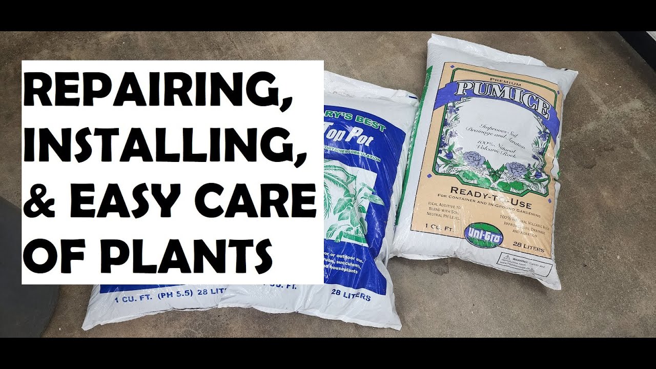Repairing, Installing & Early Care of Plants
