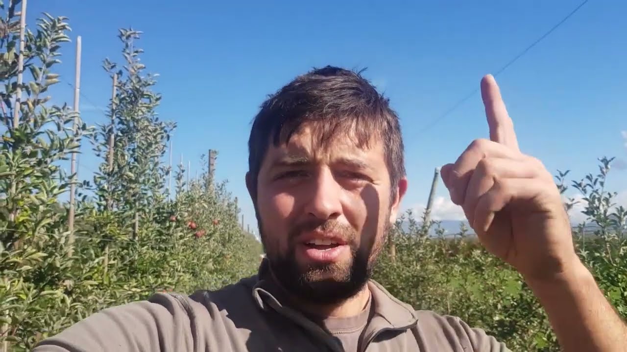 Fin de récolte et stockage