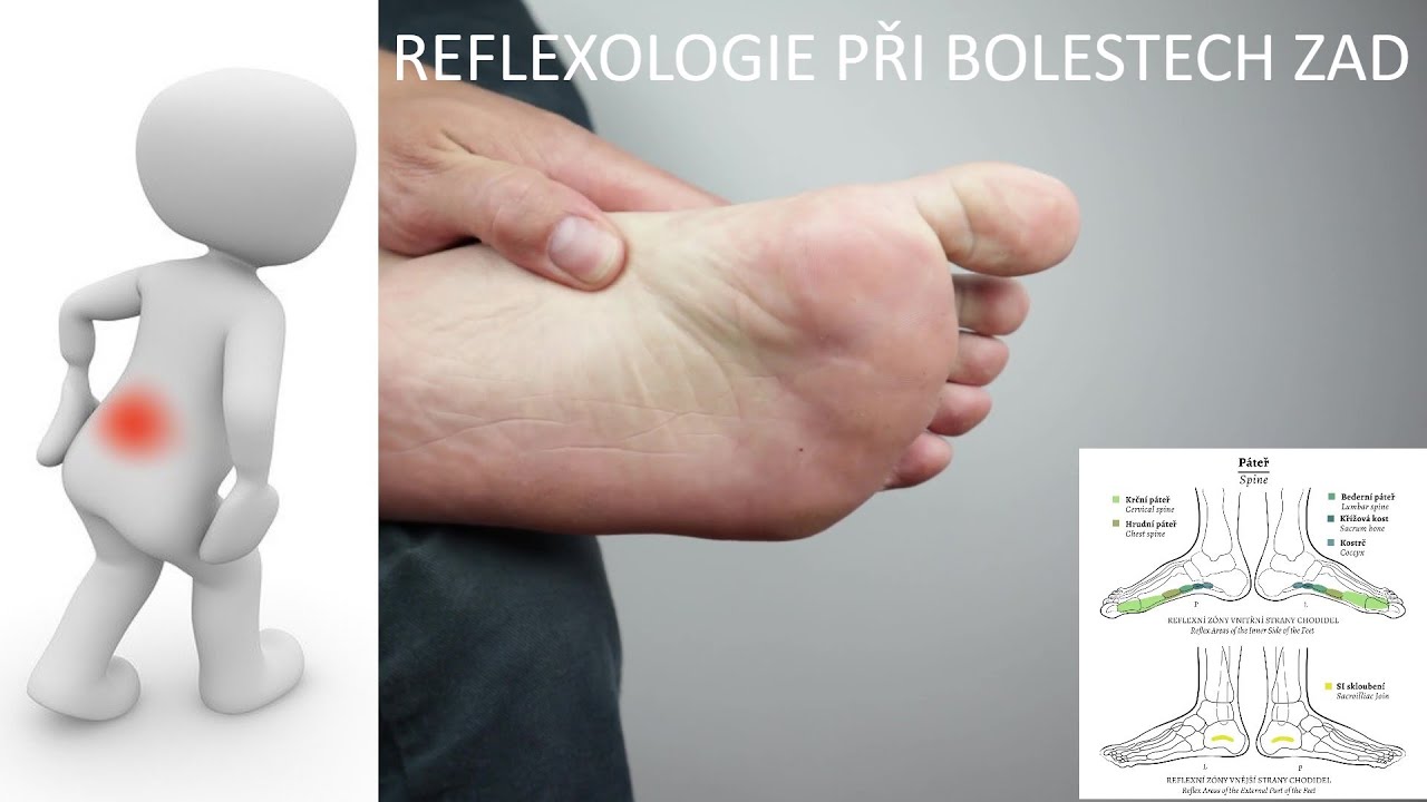 REFLEXOLOGIE PŘI BOLESTECH ZAD