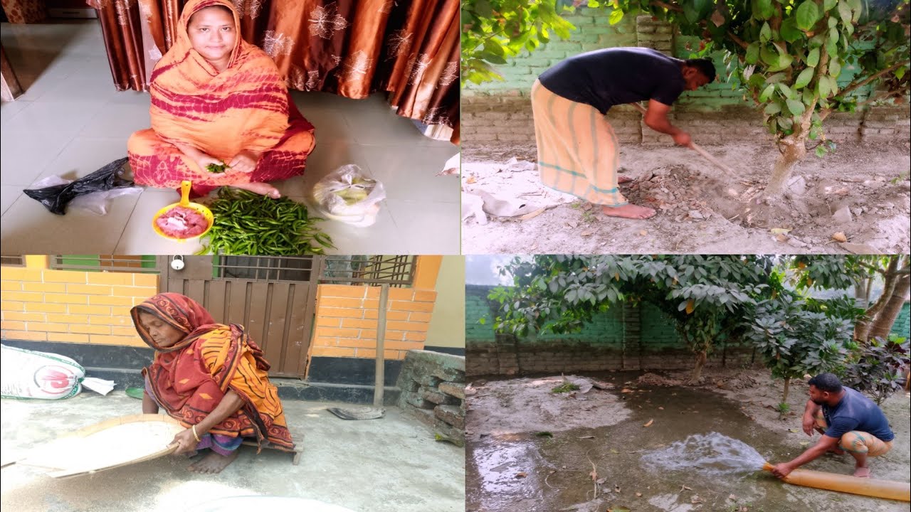 গরমে গাছকে বাঁচানোর উপায়: সেরা টিপস!