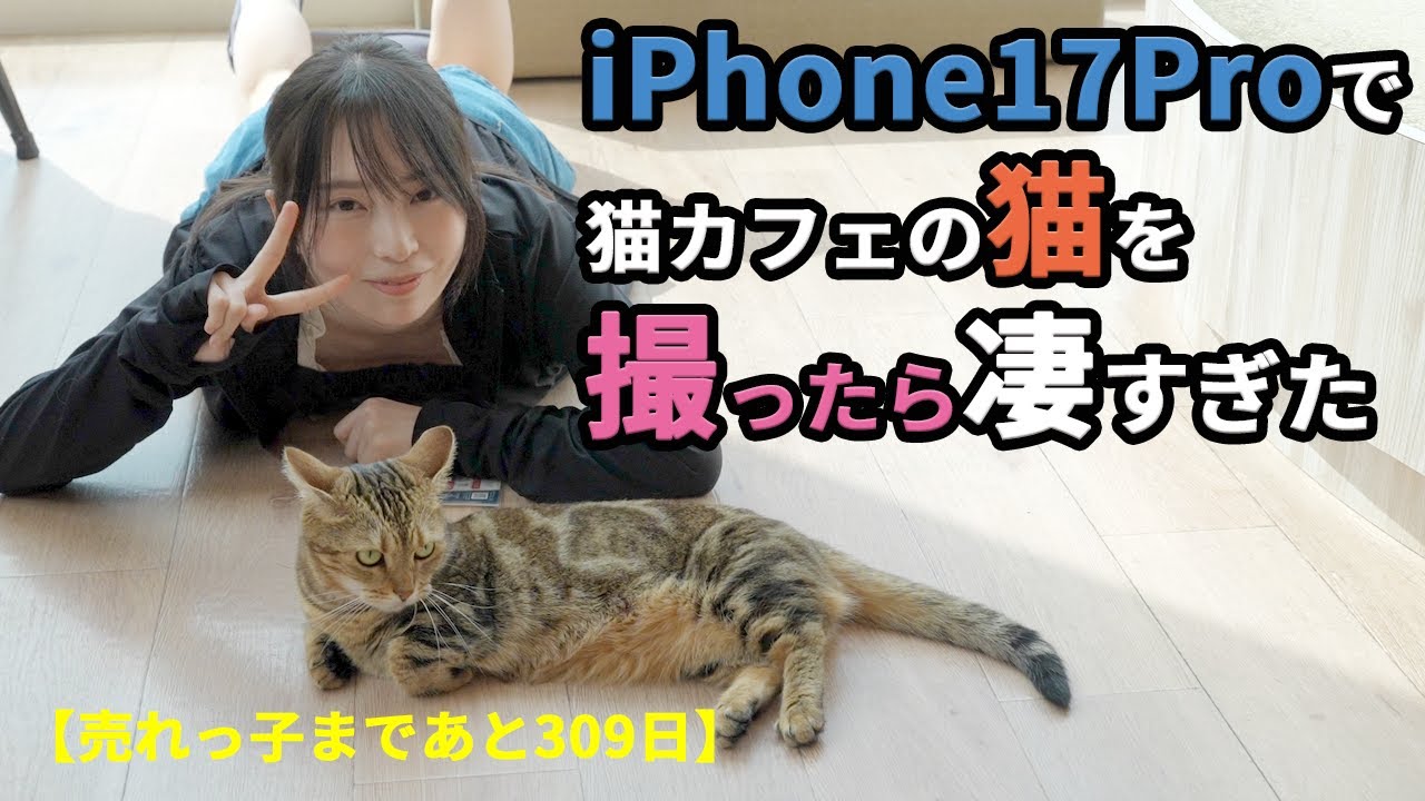 010 iPhone17Proで猫撮影したら凄かった