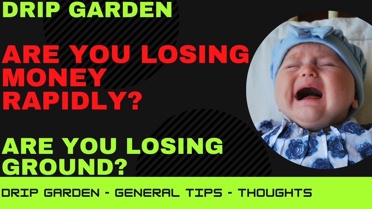 DRIP Garden - Are You Losing Money? - Are We Making Progress? - DRIP Garden Thoughts and Tips