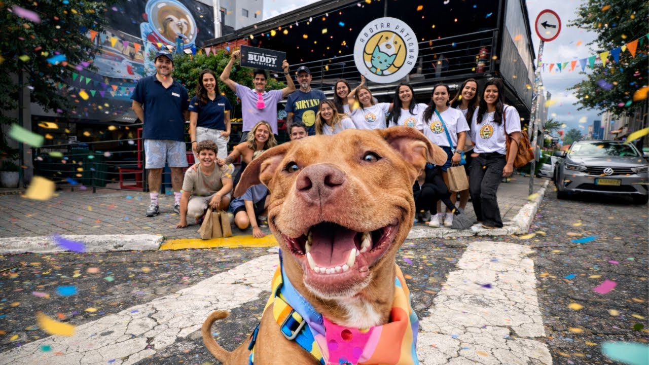 Esse Pitbull Fez O Melhor Bloquinho De Carnaval | Rotina 24 Horas