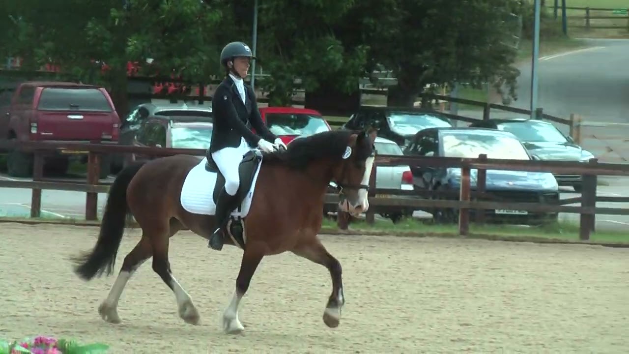Veronica Bunnie Novice Freestyle 77.5%