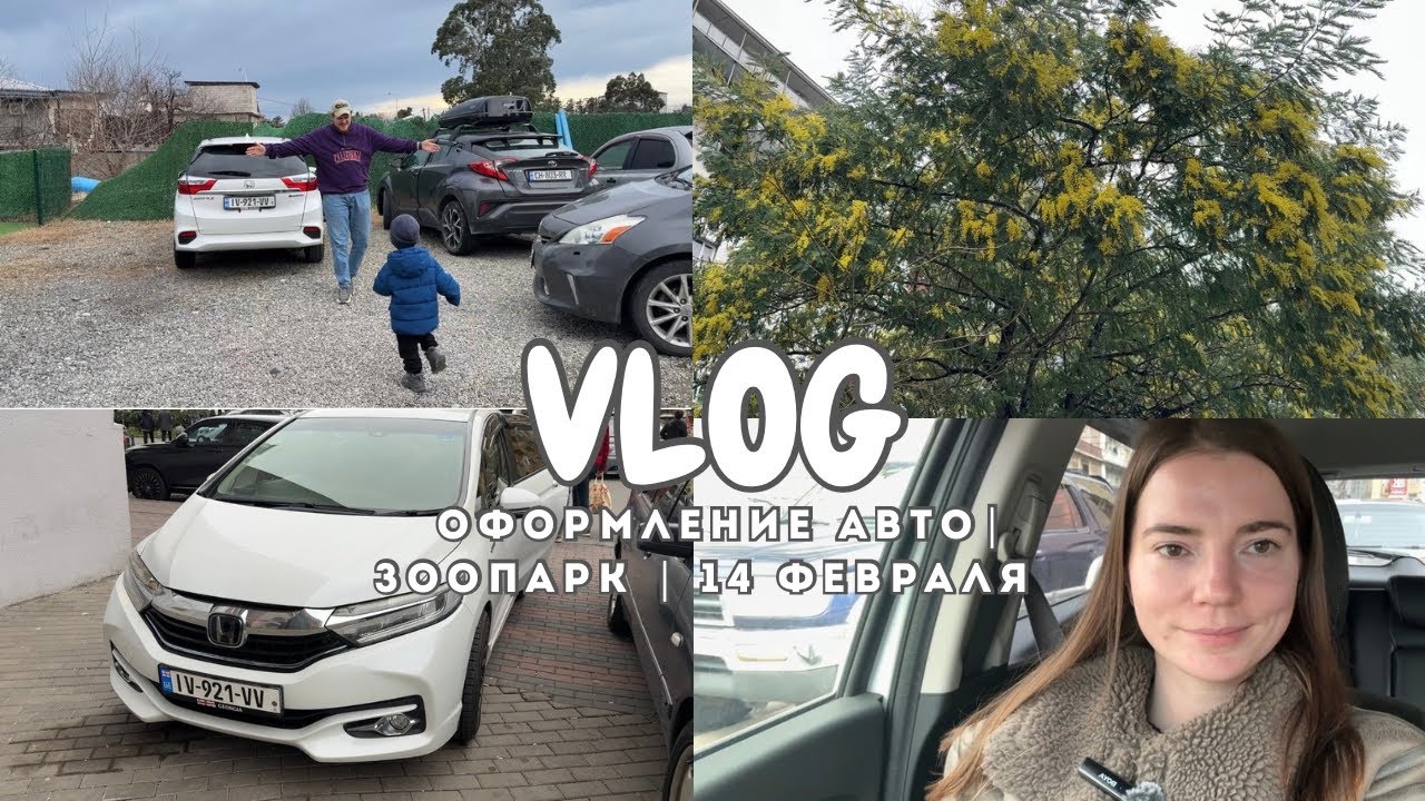 VLOG: Покупка и оформление автомобиля в Грузии | Зоопарк в Батуми | Идея для подарка на 14 февраля