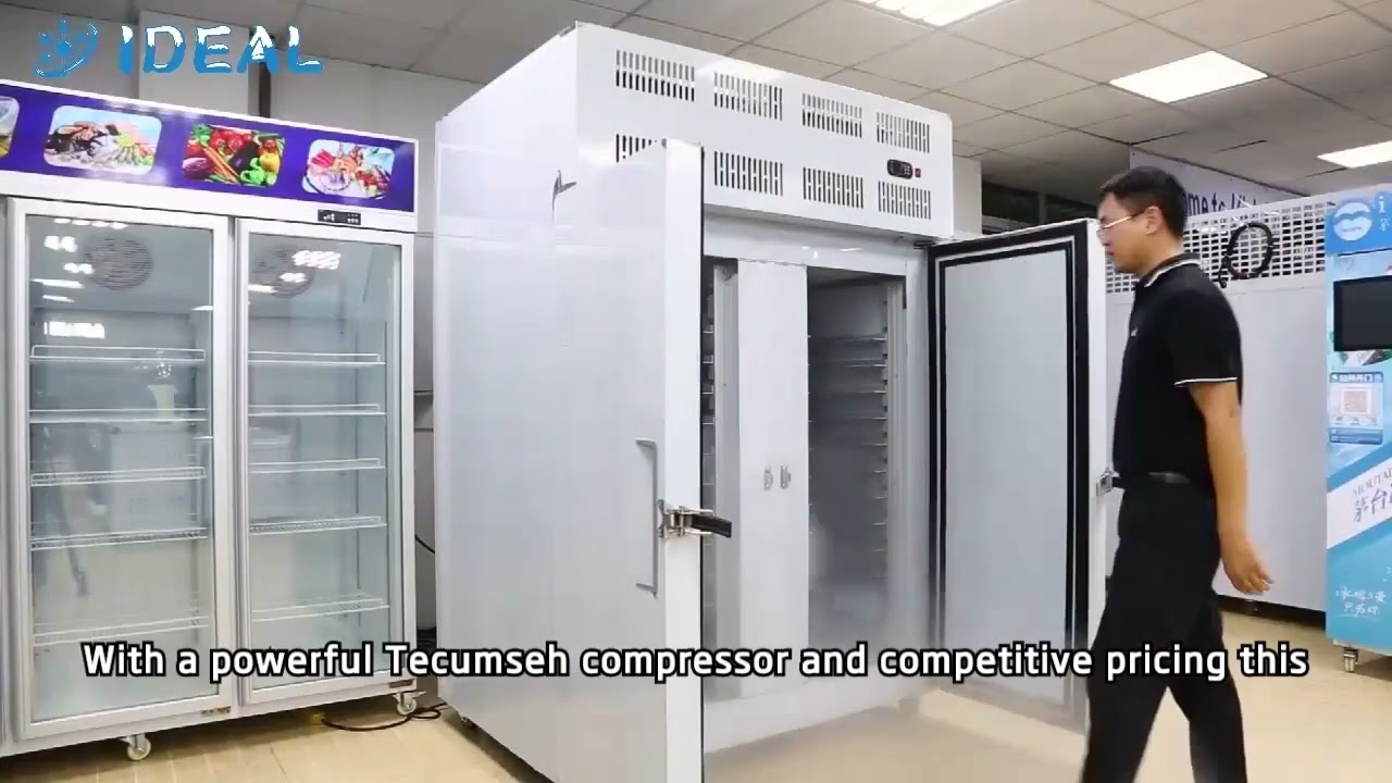 Super-Fast Blast Freezer by Mr. Frio | Ideal for Meat, Seafood & More