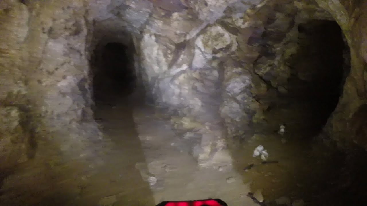 Old Gold Mine Tunnel In Georgia!