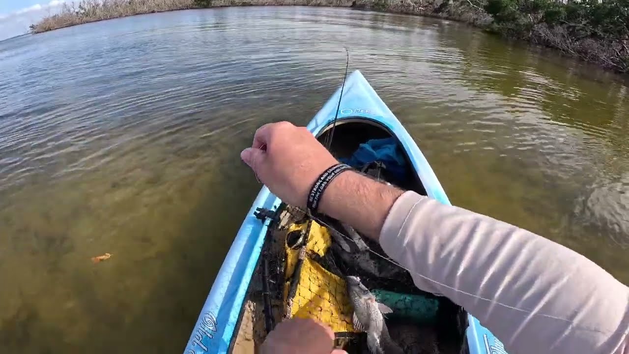 Variety day in Tarpon Bay! Multi-species fishing day in Sanibel, FL!