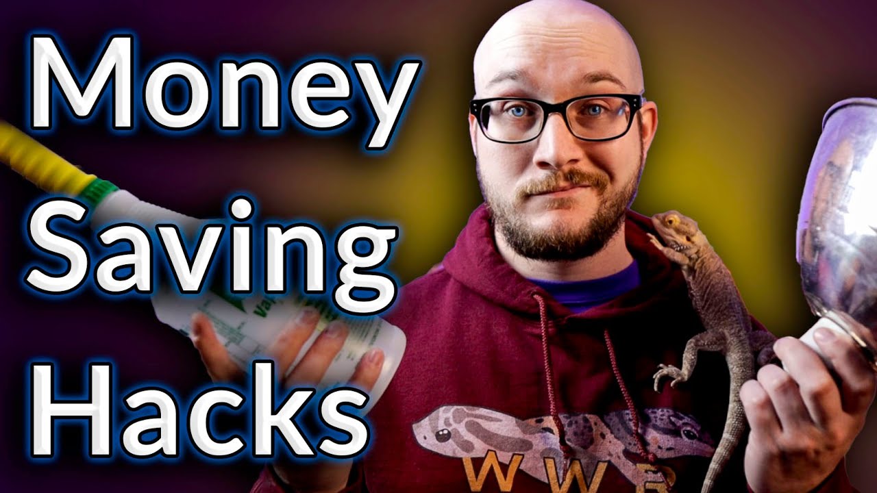 How to SAVE MONEY Keeping Reptiles | Top 5 Money Saving Hacks For Reptile Keepers