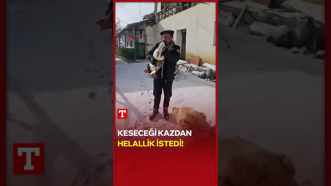 Keseceği Kazdan Helallik İstedi! #Shorts