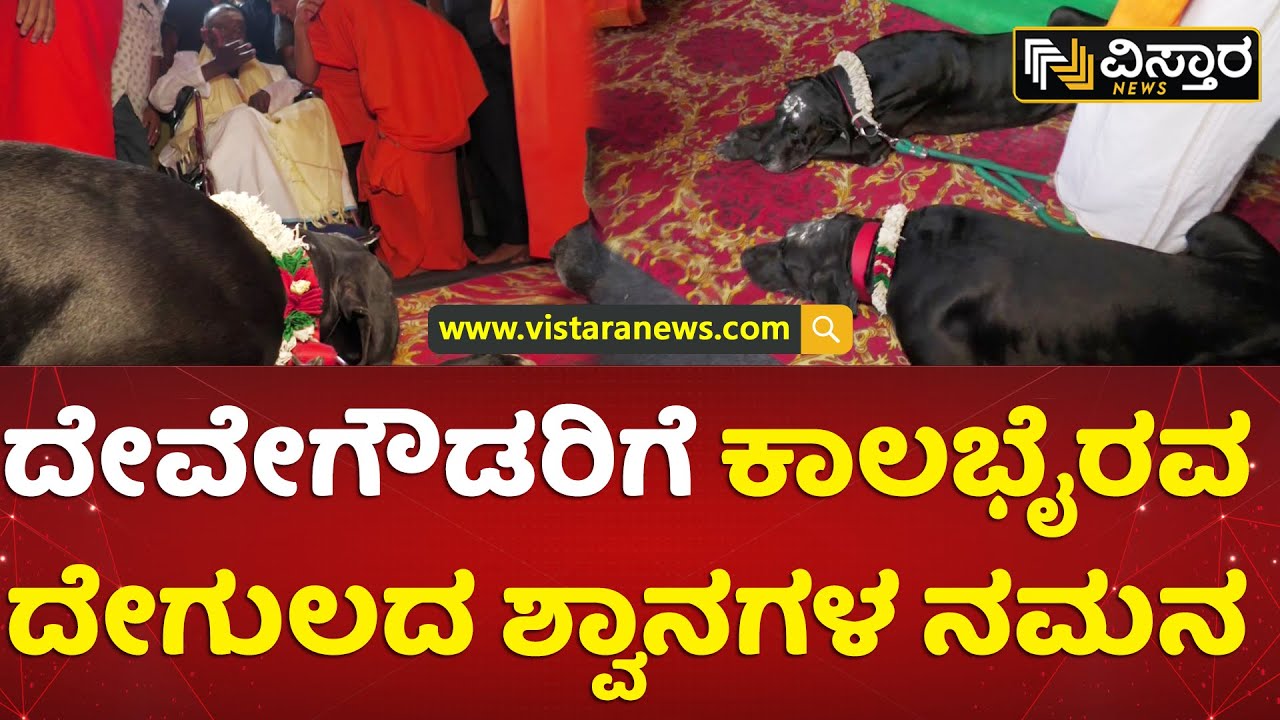 ಕಾಲಭೈರವನ ಸನ್ನಿಧಿಯಲ್ಲಿ ವಿಶೇಷ ದೃಶ್ಯ ಸೆರೆ | H D Devegowda | Kalabhairava Temple | Vistara News