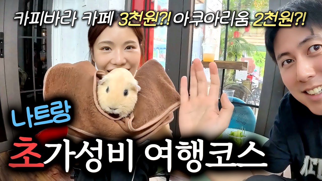 나트랑 초 가성비 여행 코스 💸✈️▪베트남 나트랑 살이▪