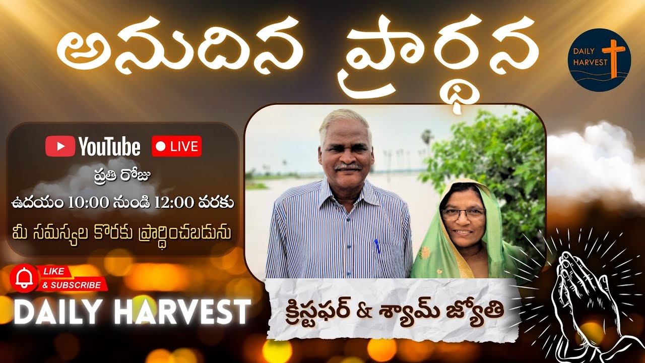 Daily Harvest is live