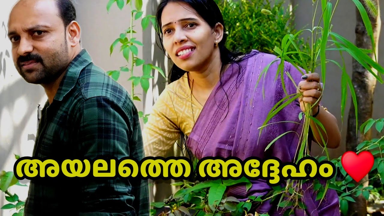 ഭർത്താവ് തീരെ പോരാ എന്ന് തോന്നിയപ്പോൾ ഭാര്യ ചെയ്തുകൂട്ടിയത് കണ്ടോ || Short film || Happy and Cool 1