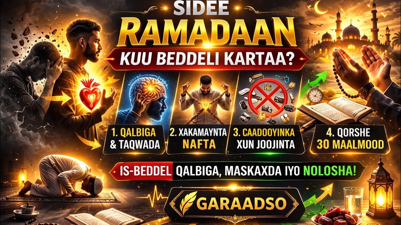 Season 3 || episode 2 || is bedel qalbiga maskaxda iyo noloshaba 