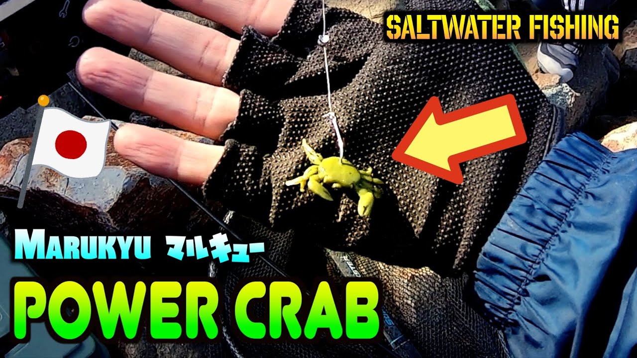 Fish loves Crab? Marukyu Power Crab
