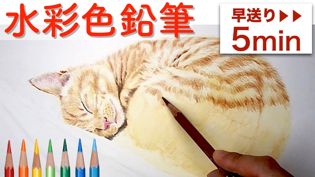 【水彩色鉛筆】眠る猫を描く How to draw a Cat in Colored Pencils