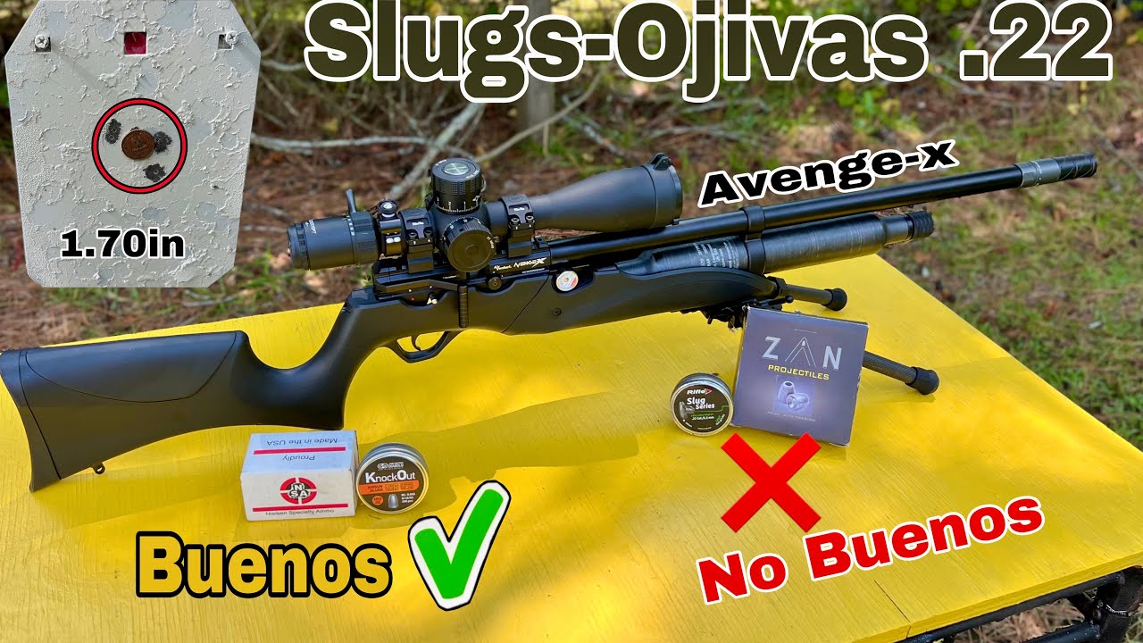 Air Venturi Avenge-X .22 & Ojivas-Slugs( Que tan Bien Trabajan #pcpairrifle